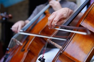 violoncelle versailles