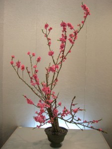 ikebana versailles